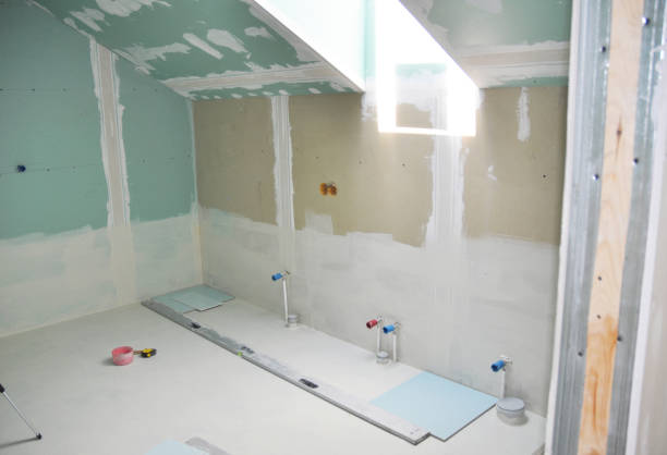Best Basement Mold Removal  in Aust, IN