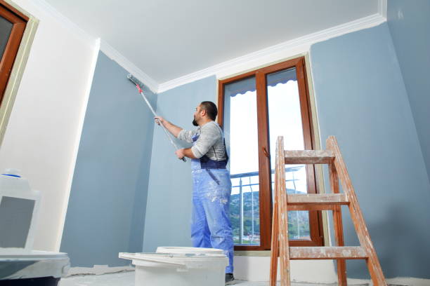 Reliable Austin, IN Mold Removal Solutions