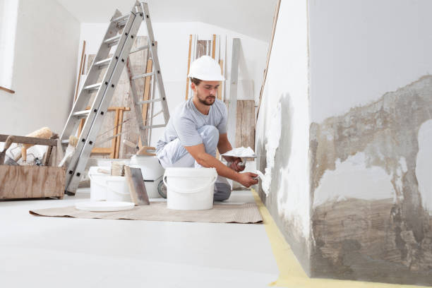 Best Post-Construction Mold Inspection  in Aust, IN