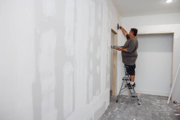 Best Mold Removal for HVAC Installations  in Aust, IN
