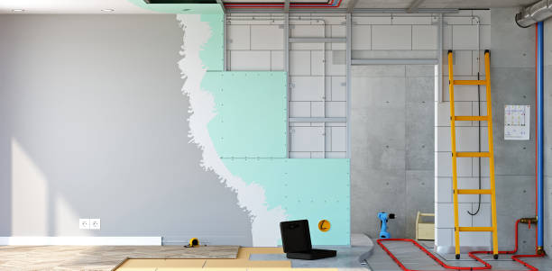 Best Real Estate Mold Inspection  in Aust, IN