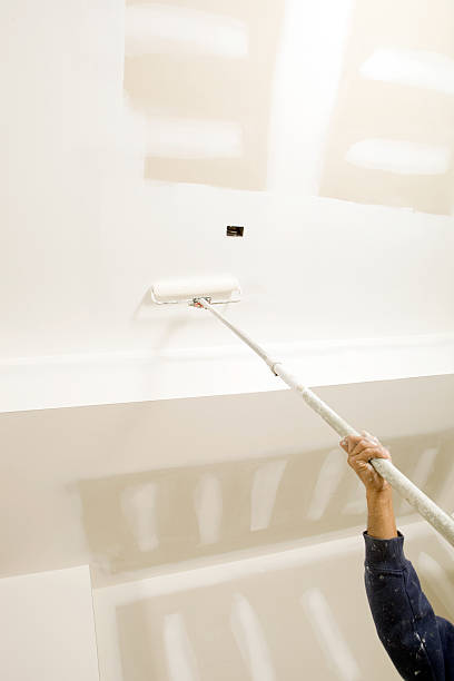 Best Mold Odor Removal Services  in Aust, IN