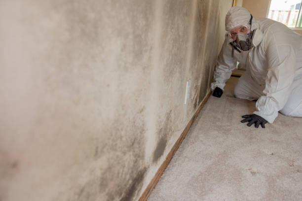 Mold Remediation for Vacation Homes in Austin, IN